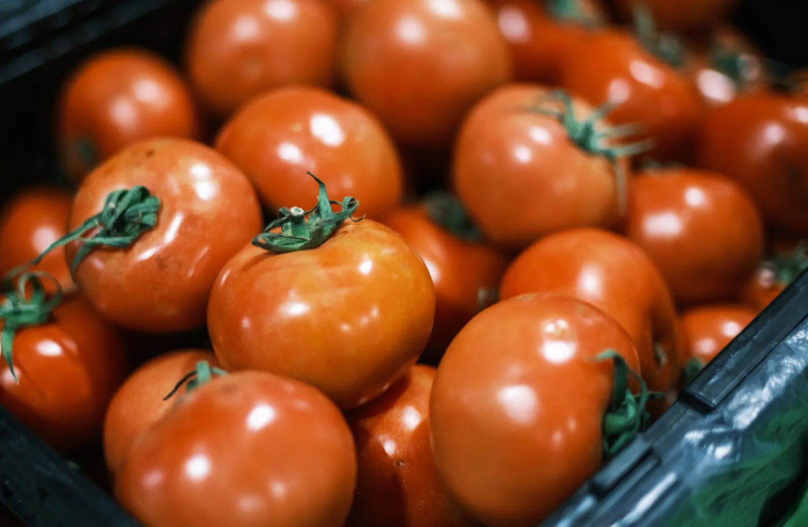 A crate of ripe tomatoes, close up